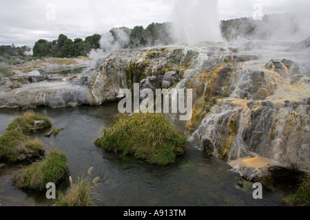 Prince de Galles Geyser Plumes Réserve Thermale Whakarewarewatanga Te Puia Rotorua Nouvelle Zélande vallée thermique Banque D'Images