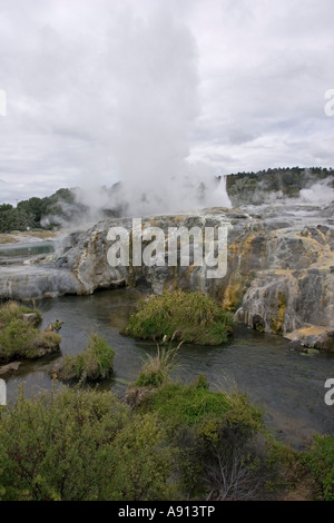 Prince de Galles Geyser Plumes Réserve Thermale Whakarewarewatanga Te Puia Rotorua Nouvelle Zélande vallée thermique Banque D'Images