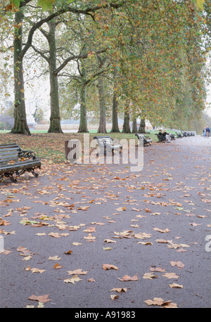 Des bancs de parc et les feuilles d'automne dans les jardins de Kensington London England Banque D'Images