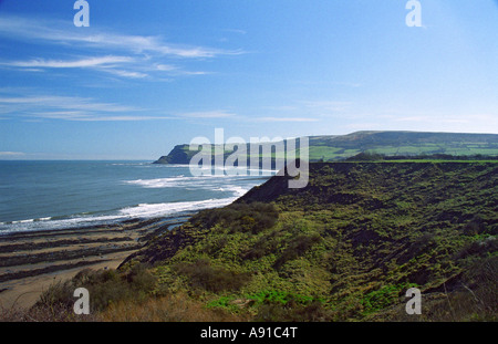 À la pointe sud de l'ancien sud (JOUE) et au-dessus de la falaise de Ravenscar Robin Hood's Bay, North Yorkshire, Angleterre Banque D'Images