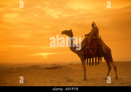 Homme assis sur le chameau au lever de Gizeh Egypte Banque D'Images