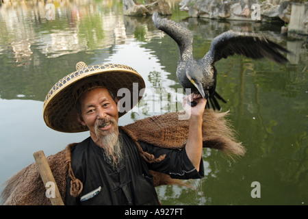 Le port de pêcheur et manteau de paille chapeau de bambou avec les cormorans, Yangshuo, Guangxi Province, China Guillin. Banque D'Images