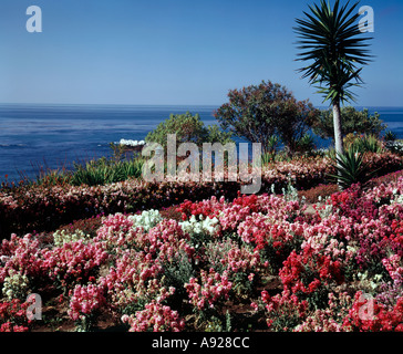 Au bord de l'eau donnent sur les jardins de Victor Hugo à Laguna Beach en Californie Banque D'Images