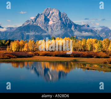 Parc National de Grand Teton, au Wyoming, montrant l'Oxbow Bend de la Snake River et le Mont Moran avec automne peupliers de couleur Banque D'Images