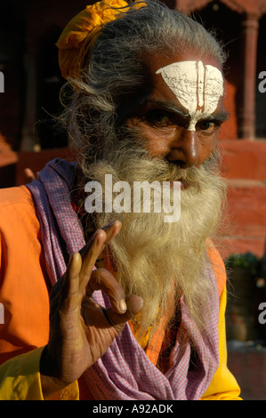 Saint homme sadhu avec de longs cheveux et peint forhead Katmandou Népal Banque D'Images