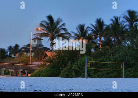 Palmiers dans le vent à la jetée et de la plage de Naples, Floride, USA Banque D'Images