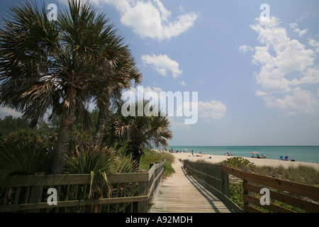 Palmiers et plage de Englewood Manasota Beach sur Key, Floride, USA Banque D'Images