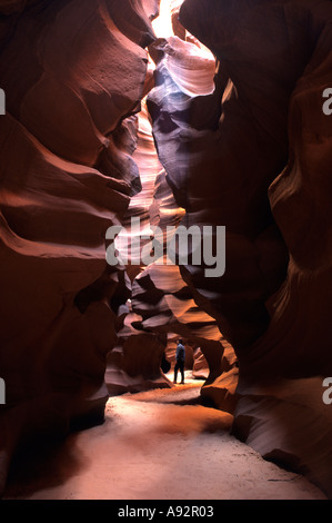 Randonneur s'émerveille de la roche sculptée dans la fente canyon Antelope Canyon Réserve Navajo Arizona USA Banque D'Images