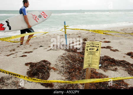 Miami Beach Florida,Océan Atlantique,eau,rivage,panneau,nid de tortue de mer,ne pas déranger,oeufs enterrés,surfeur,FL070527006 Banque D'Images