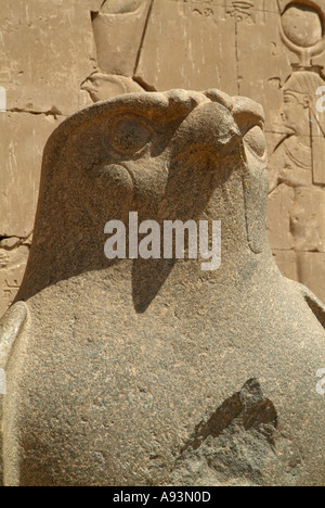 Statue du dieu faucon Horus, Temple d'Edfou, Egypte Banque D'Images