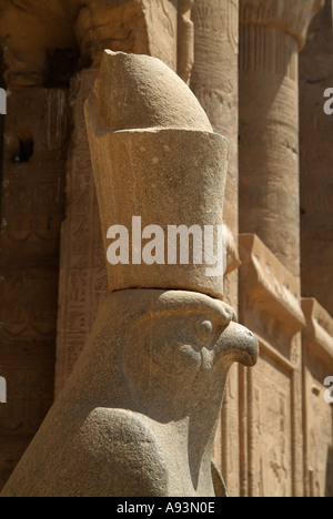 Statue du dieu faucon Horus portant la double couronne d'Egypte, Temple d'Edfou, Egypte Banque D'Images