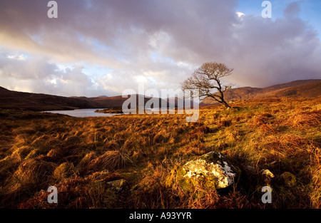 L'automne dans le parc national de Glenveagh County Donegal Ireland Banque D'Images