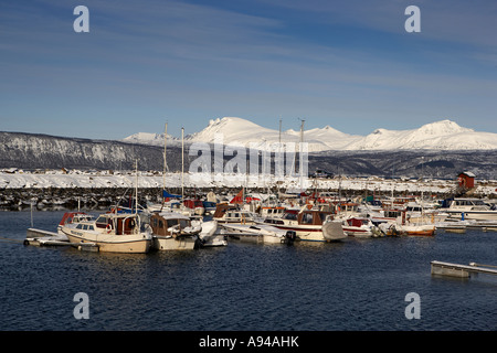 Port, hiver, Narvik, Norvège, Laponie Banque D'Images