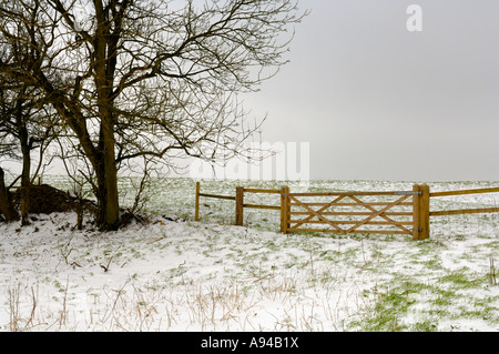 Neige dans les collines de Cotswold à Haresfield Beacon, Gloucestershire, Angleterre. Banque D'Images