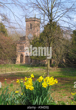 Église St Marys Derbyshire Cromford avec ressort de jonquilles en fleurs en premier plan Banque D'Images