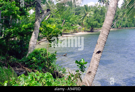 Beach Province de Madang Papouasie-Nouvelle-Guinée Banque D'Images