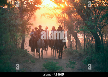 Groupe de cavaliers équitation accueil au coucher du soleil près de l'Afrique du Sud Limpopo Warmbaths Banque D'Images