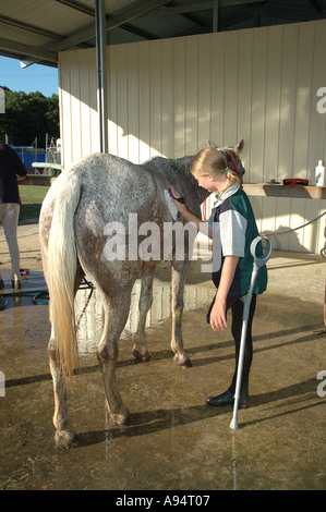 Jeune femme avec une jambe de laver son cheval après l'équitation, la concurrence pour les personnes handicapées Banque D'Images