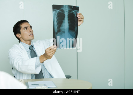 Doctor holding up x-ray Banque D'Images