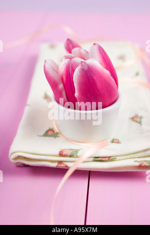 Tulip blossom à egg cup avec serviette sur le tableau Banque D'Images