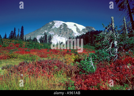Mt Rainier au-dessus de couleur à l'automne Banque D'Images
