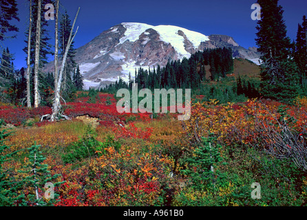 Mt Rainier au-dessus de couleur à l'automne Banque D'Images