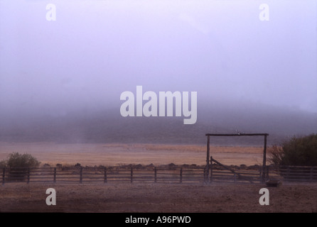 Une ligne de clôture ranch dans le brouillard au petit matin dans l'ouest des États-Unis Banque D'Images