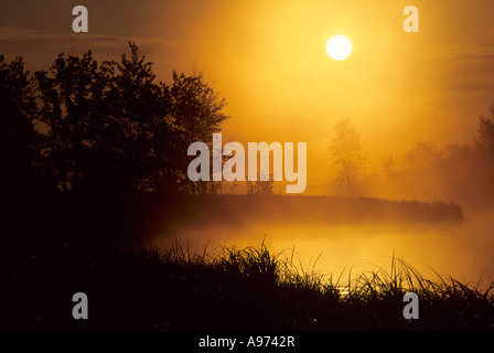 Lever du soleil sur un matin d'automne brumeux sur Junction Creek, ville du Grand Sudbury, Ontario, Canada. Banque D'Images