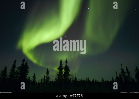 Northern Lights Canada Aurora Borealis Banque D'Images