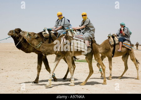 Les touristes à cheval sur des chameaux dans le désert du Sahara, la Tunisie Banque D'Images