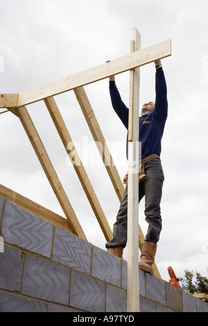 Contructing bâtisseurs d'un nouveau toit pour une extension d'une maison Banque D'Images