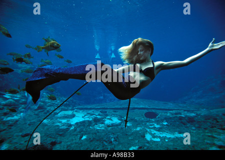 Weeki Wachee Springs, Floride, Weeki Wachee Springs, Mermaid show Banque D'Images