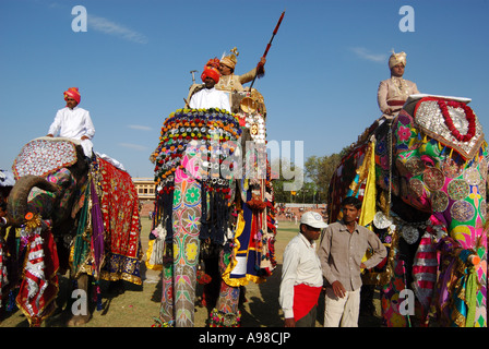 Les éléphants sur Parade, festival de l'Éléphant de Jaipur Banque D'Images