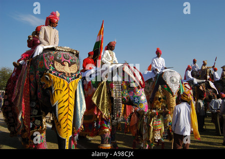 Les éléphants sur Parade, festival de l'Éléphant de Jaipur Banque D'Images