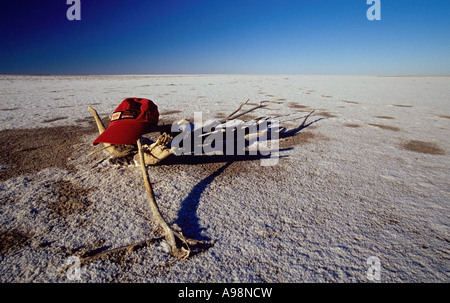 Lac Eyre, Australie du Sud Banque D'Images