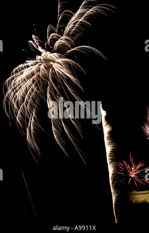 Des feux d'artifice spectaculaires illuminent le ciel nocturne, avec des éclats complexes en forme de palmiers et des sentiers vibrants, créant un spectacle éblouissant de célébration. Banque D'Images