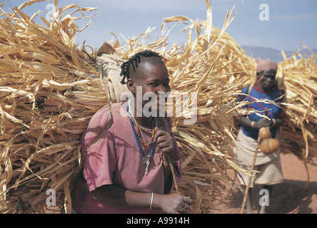 Les agricultrices en transportant de lourdes charges de tiges de maïs le long de la route vers l'Éthiopie Konso Banque D'Images