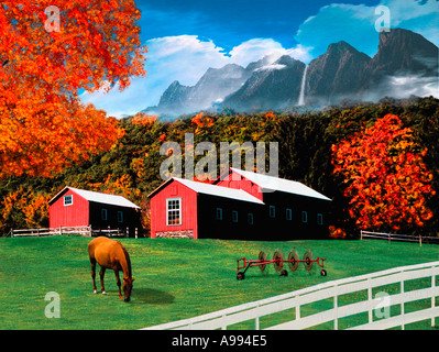 Un pâturage de chevaux sur l'herbe verte dans un pâturage entouré d'une clôture en bois blanc avec feuillage d'automne d'une grange et d'un râteau à foin Banque D'Images