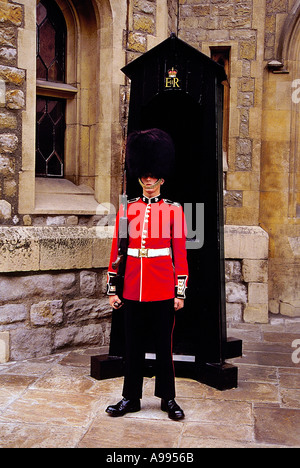 Membre de l'Grenadier Guards monte la garde dans sa tunique rouge traditionnel et bearskin hat Banque D'Images