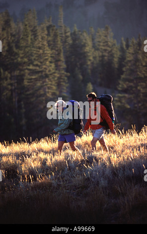 L'homme et la femme en sac par golden grass à Sonora Pass CA Banque D'Images