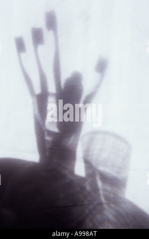 Dans l'Ombre lumière chaude sur chiffon pâle ou le rideau de verre maintenant quatre brosses à dents et du dentifrice à côté du tube d'eau tumbler Banque D'Images