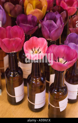 Wakefield et North of England Tulip Society présentent Normanton près de Wakefield Yorkshire Angleterre des années 2007 2000 UK HOMER SYKES Banque D'Images