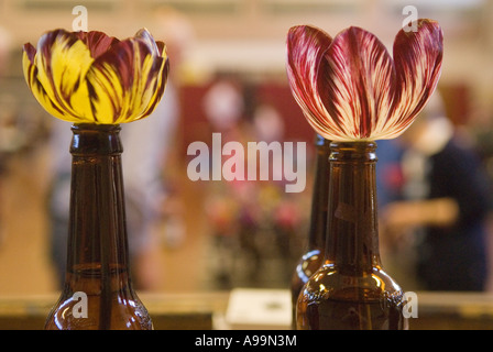 Wakefield et North of England Tulip Society présentent Normanton près de Wakefield Yorkshire Angleterre des années 2007 2000 UK HOMER SYKES Banque D'Images