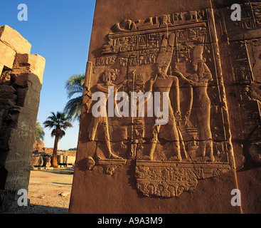 Prise de vue au grand angle de mur en pierre sculptée sur la frise à Karnak temple ciel bleu et de palmiers derrière Luxor Egypte Banque D'Images