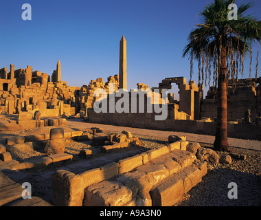 Les ruines du temple de Karnak Louxor Égypte obélisques avec voûte et palmier énoncés contre un ciel bleu Banque D'Images