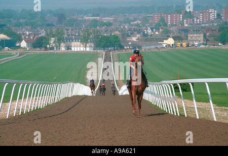 Polytrack gallop Newmarket Suffolk Banque D'Images