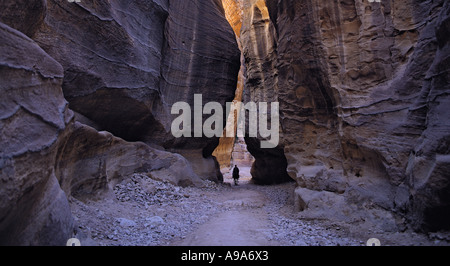 Cheval solitaire rider suivant le chemin à travers la gorge étroite du Siq vers la légendaire cité de Pétra en Jordanie Banque D'Images