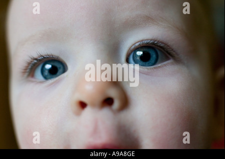 Close up of a baby boy England UK Banque D'Images