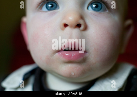 Close up of a baby boy England UK Banque D'Images