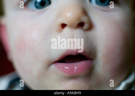 Close up of a baby boy England UK Banque D'Images